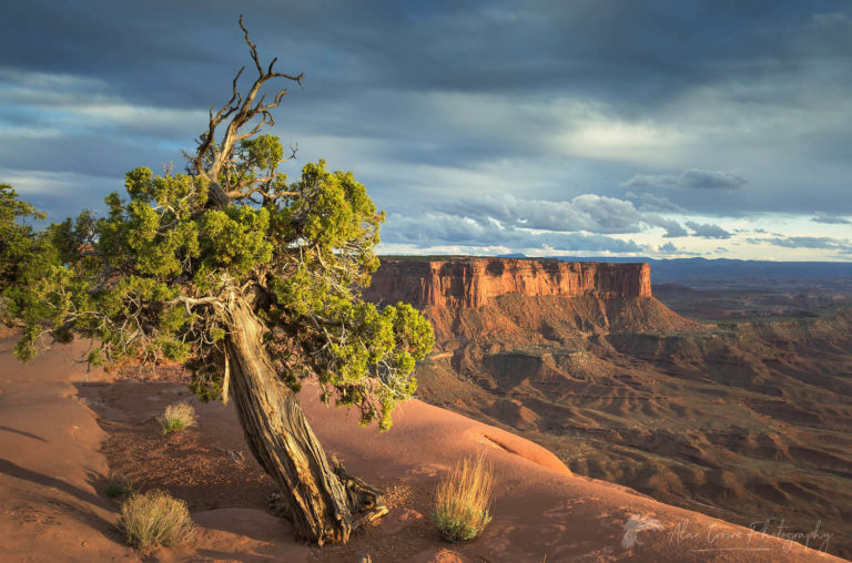 Canyonlands National Park Alan Crowe Photography