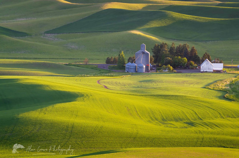 Palouse Farm Washington - Alan Crowe Photography