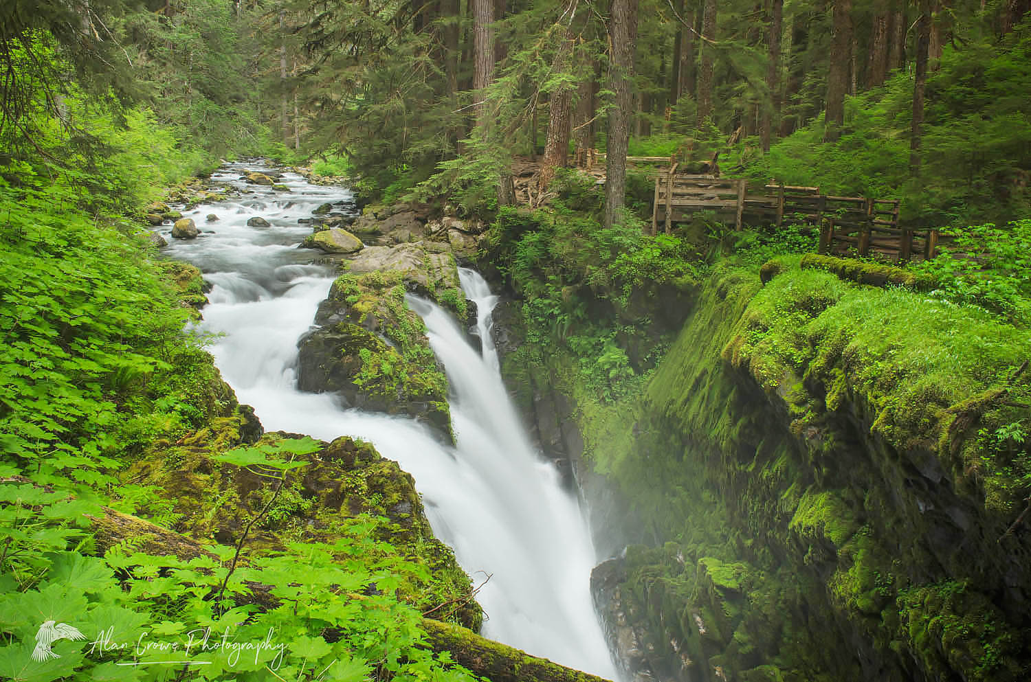 Sol Duc Falls Olympic National Park - Alan Crowe Photography