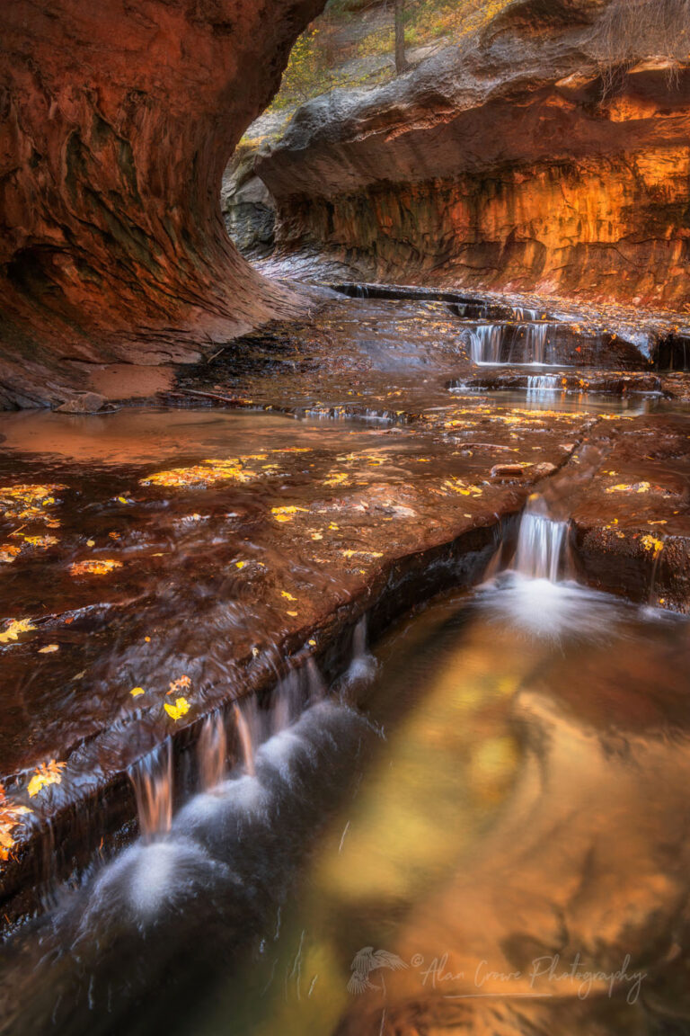 The Subway Zion National Park Alan Crowe Photography